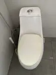 Toilet Seat Installation & Repair - 3