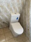 Toilet Seat Installation & Repair - 4