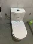 Toilet Seat Installation & Repair - 5