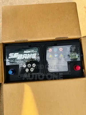 Din100 AGM Sebang Battery