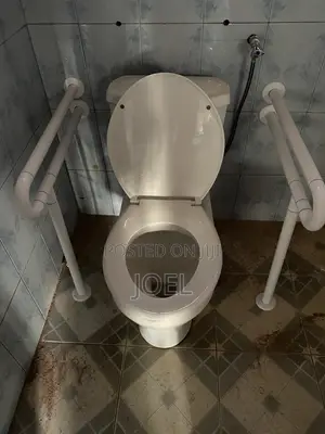 Toilet Safety Handle Installation Service