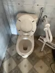 Toilet Safety Handle Installation Service - 3