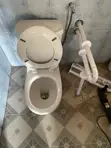 Toilet Safety Handle Installation Service - 5