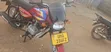 New Bajaj CT 125X 2026 Red - 2