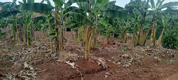 Land for Sale - Ssuka, Kayunga - 1