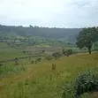 Land for Sale - Ssuka, Kayunga - 2