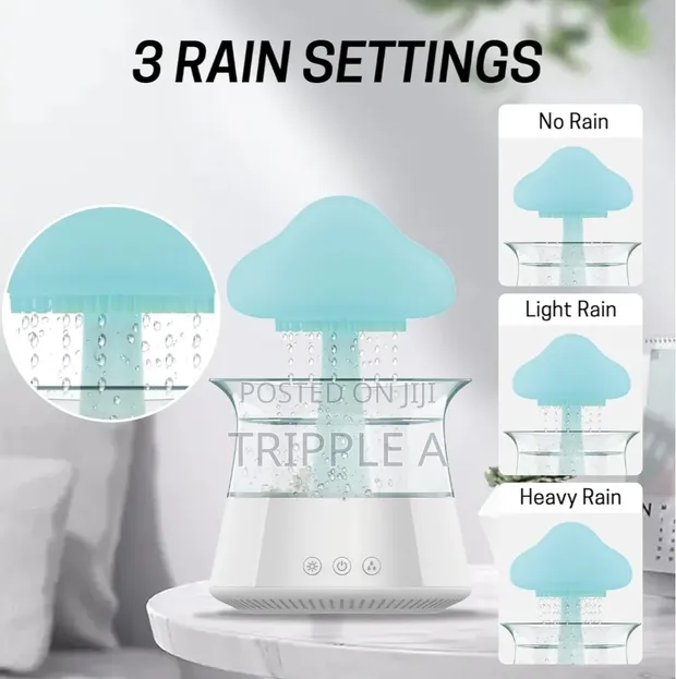 New Portable Rain Cloud Humidifier - 1