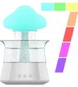New Portable Rain Cloud Humidifier - 3