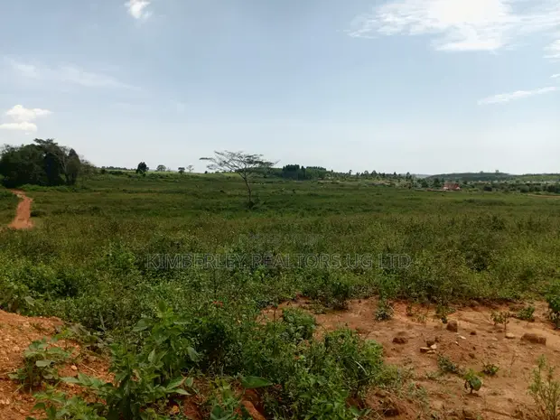 Land for Sale - Nakifuma Kyiwafu - 1