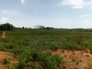 Land for Sale - Nakifuma Kyiwafu