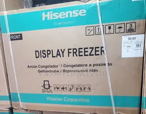 Hisense 301L Ice Cream Display Freezer