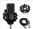 Studio Condenser Microphone - Brand New - 1