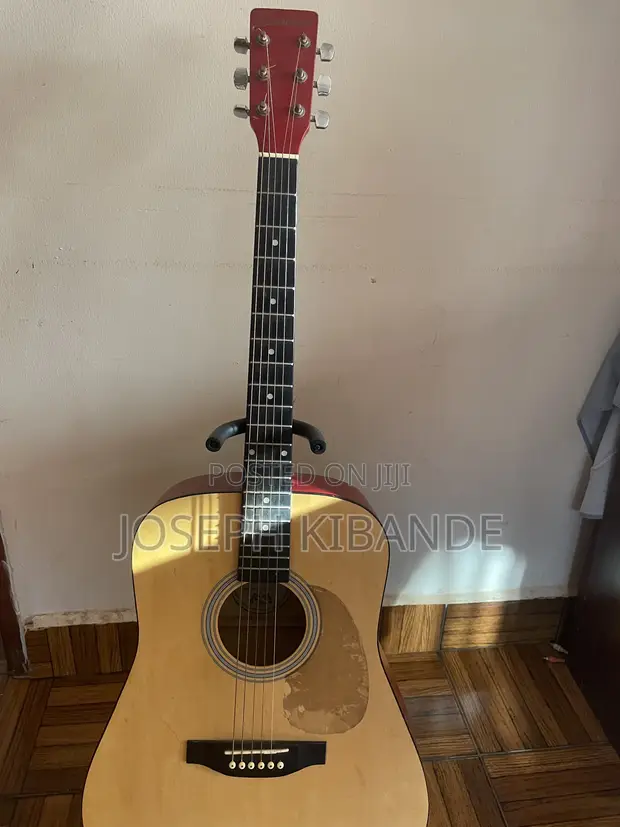 Eastwood Acoustic Guitar - 1