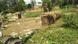 20 Decimals Land for Sale in Namugongo - 3