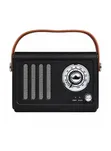 Green Lion Vintage Radio Speaker - 2