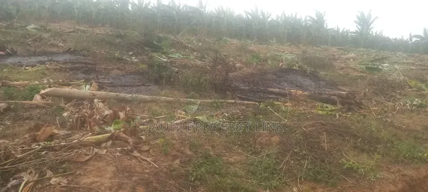 Residential Plots for Sale in Mbarara City - 1
