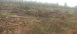 Residential Plots for Sale in Mbarara City - 1