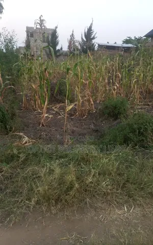 50x100ft Residential Plot for Sale in Mbarara Rwobuyenje