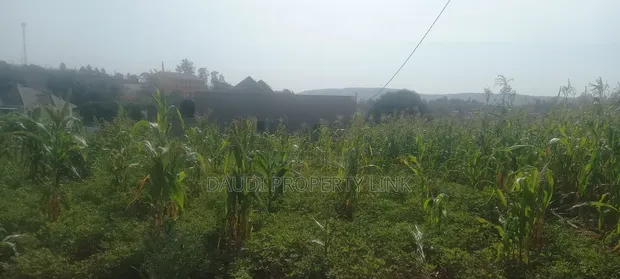 Commercial Land for Sale - Mbarara City - 1