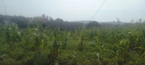 Commercial Land for Sale - Mbarara City