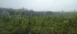 Commercial Land for Sale - Mbarara City - 1
