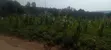 Commercial Land for Sale - Mbarara City - 2
