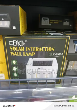 Solar-Powered Motion-Activated Outdoor Wall Lamp (Model BK-888-2)