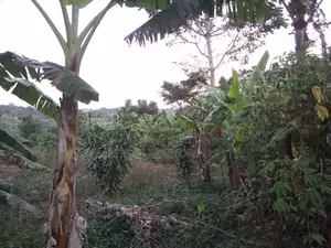 Land for Sale - Mawala, Semuto Road