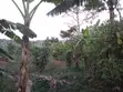 Land for Sale - Mawala, Semuto Road - 1