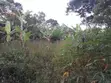 5 Bedroom House for Sale in Wattuba (Division A) - 5