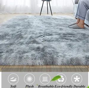Fluffy Area Rug / Carpet