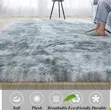 Fluffy Area Rug / Carpet - 1