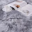 Fluffy Area Rug / Carpet - 2