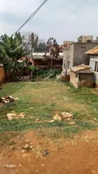 Prime Plot for Sale in Kampala Kyambogo - 1