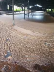 Molasses Sukali for Silage & Fertilizer - 4