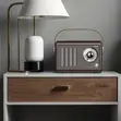 Green Lion Vintage Radio Speaker, Bluetooth Speaker with FM Radio - 3