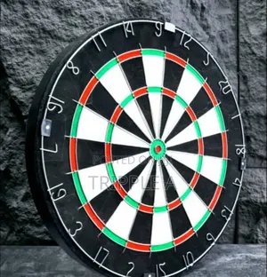 Brand New Dart Board