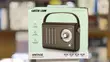 Green Lion Vintage Radio Speaker with Bluetooth - 2