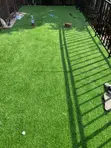 Shade Floor Carpets Per Square Meter - 2