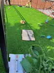 Comfortable Grass Carpets - Per Square Meter - 2