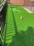 Kids Playground Grass Carpets Per Square Meter - 1