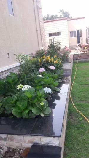 Flower Bed Designing & Flowering Services