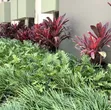 Flower Bed Designing & Flowering Services - 2