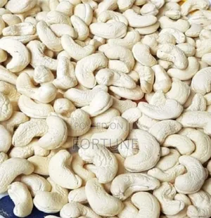 Fresh Cashew Nuts (Kg)