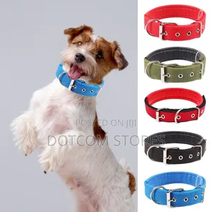 Durable Adjustable Dog Collar - Green, Large