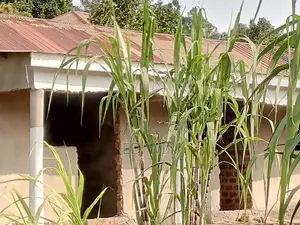 87 Decimals Land for Sale in Kawempe Kikaya