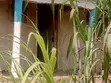 87 Decimals Land for Sale in Kawempe Kikaya - 2