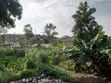 87 Decimals Land for Sale in Kawempe Kikaya - 5