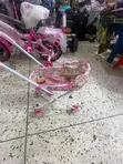 Magic Princess Diary Doll Playset with Stroller - 1