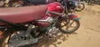 TVS HLX 125 2025 Red - 4